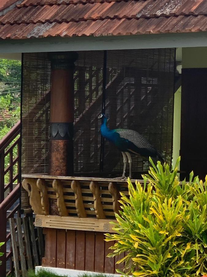 Royal Kazbay Beach Resort Varkala Exterior photo